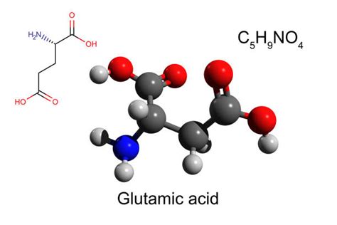 220+ Glutamic Acid Structure Stock Photos, Pictures & Royalty-Free Images - iStock