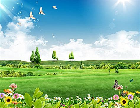 Free Flowers, Meadow, Trees Background Images, Blue Sky Green Grass Background Photo Background ...