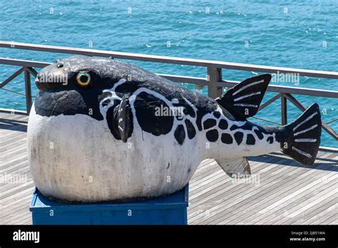 Shimonoseki, Yamaguchi / JAPAN - Aug 14 2020 : Large Fugu puffer fish monument in Kamon Wharf ...