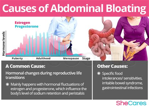 What Causes Bloating And Gases - PELAJARAN