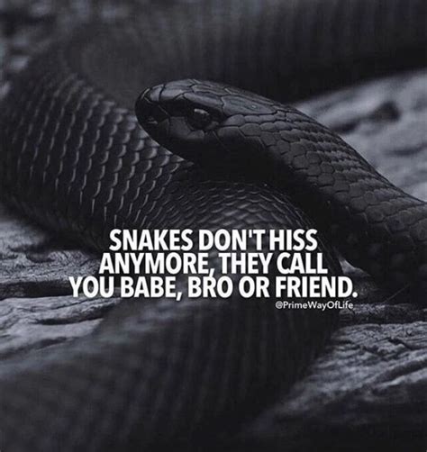 Collection : +27 Snakes Quotes and Sayings with Images