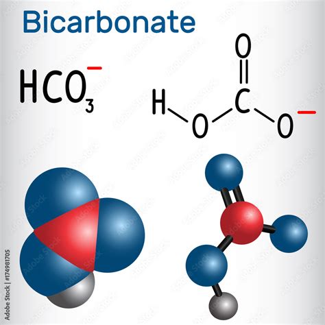 Bicarbonate anion ( HCO3 ) - structural chemical formula and molecule model. 素材庫向量圖 | Adobe Stock