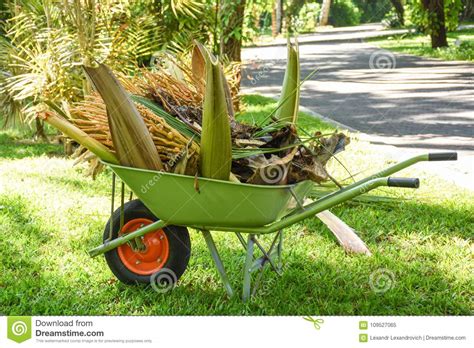 Green Wheelbarrow Full of Plants in the Garden Stock Image - Image of bridge, arrival: 109527065