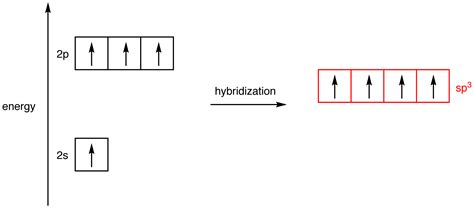 Hybridization | Types and Examples of Hybridization