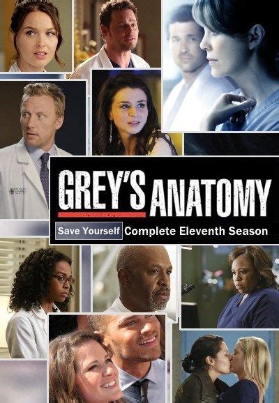 Grey's Anatomy Cast Season 11 - ANATOMY