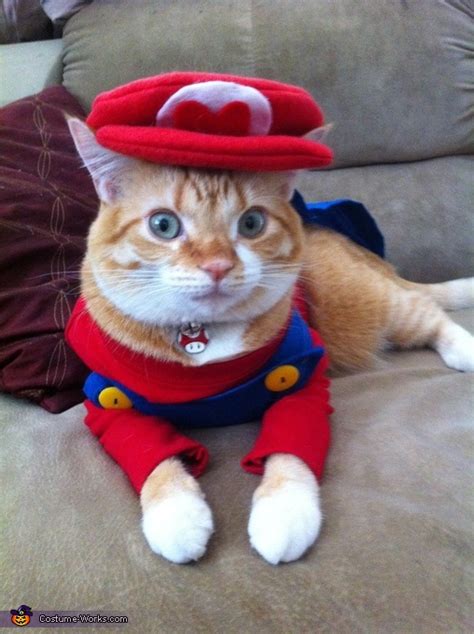 Super Mario Cat Costume