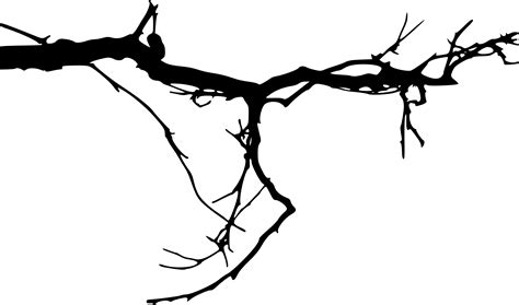 Tree Branches Silhouette at GetDrawings | Free download