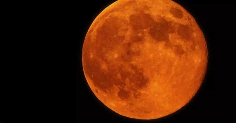 You'll see a huge orange Moon in the skies this week - here's why - Hull Live