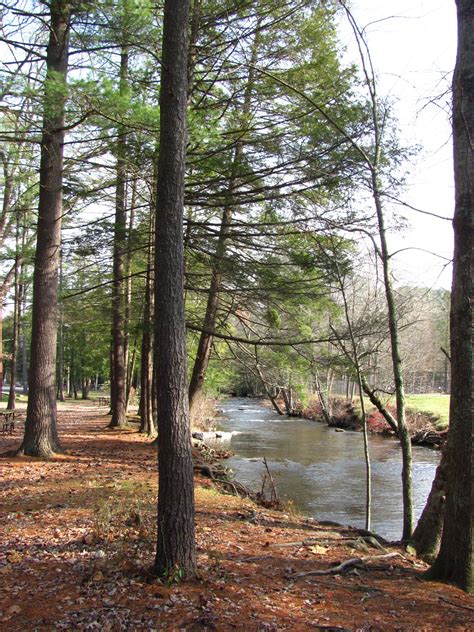 Hiking in Michaux Forest, PA: Caledonia State Park