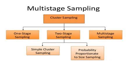 Multistage Sampling - Assignment Point