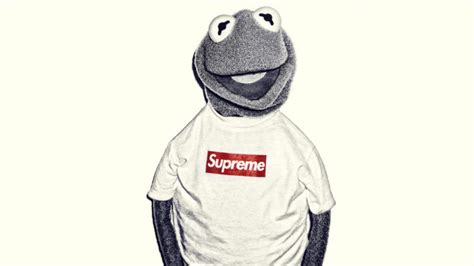 Kermit the Frog, Supreme Wallpapers HD / Desktop and Mobile Backgrounds