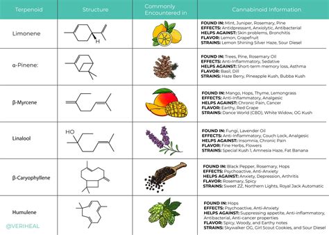 Understanding Cannabis Terpenes and Their Effects