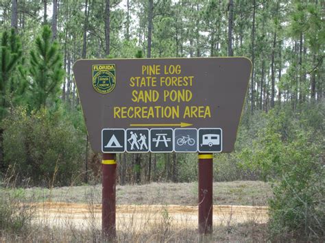 Hiking at Pine Log State Forest near Ebro, Florida | Northwest Florida ...