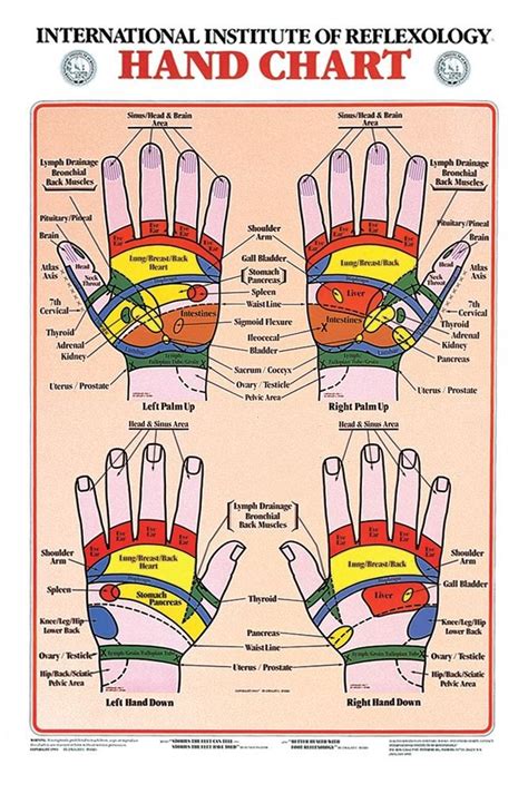 Hand Reflexology Chart Printable