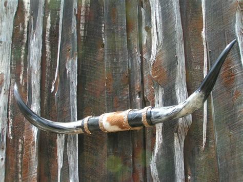 MOUNTED Longhorn Steer Horns Black 1228 Wall Hang Cowhide center | Horns decor, Longhorn ...