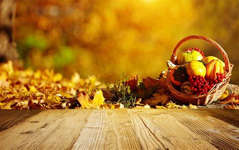 Fall Harvest Wallpapers - Top Free Fall Harvest Backgrounds - WallpaperAccess