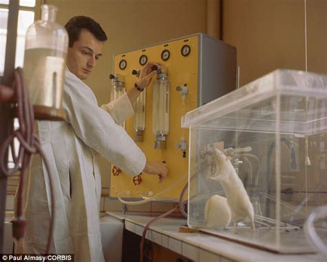 Is this why women are more scared of mice? Scientists find rodents are bolder in female company ...