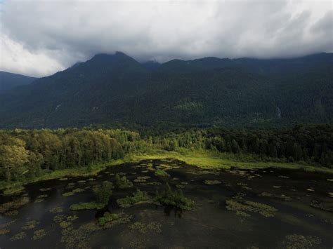 Exploring the Fraser Valley Bird Trail - The BC Bird Trail