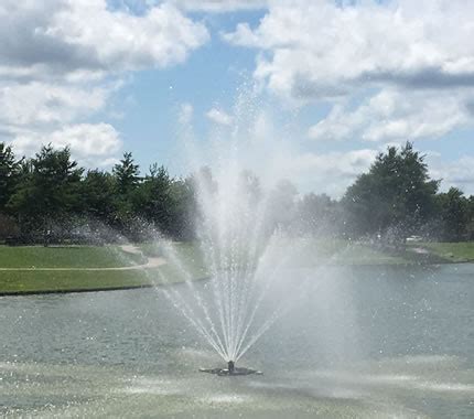 Floating Pond Fountains | Decorative & Aerating Floating Fountains