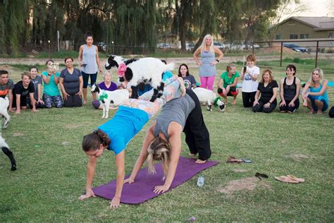 Weirdest Yoga Classes