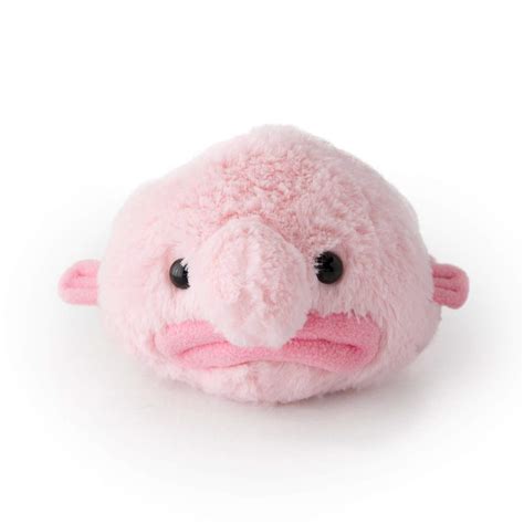 Buy Stuffed Blobfish Plush - Mini Online at desertcartINDIA