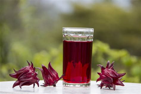 Rosella tea can be served cold or hot, its natural sour touch is very refreshing. Most of the ...