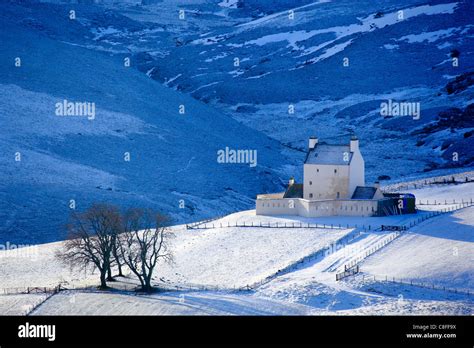 Tree, group of trees, castle, trees, Cairngorms, Corgarff, Corgarff Castle, fortress, sky ...