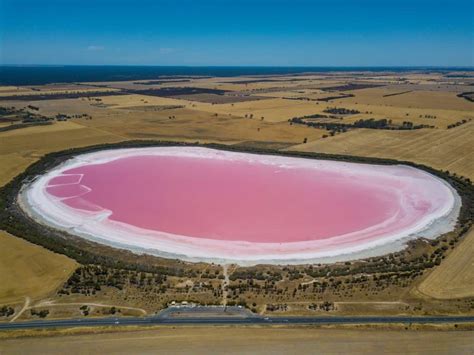 Your Guide To Pretty Pink Lakes Around Victoria