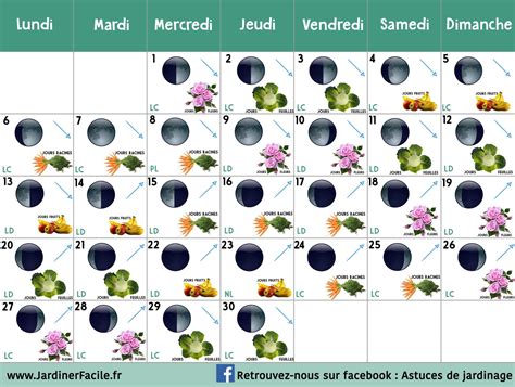 Calendrier Lunaire Juin 2024 Jardinage Graines Et Plantes - calendrier vaccinal 2024