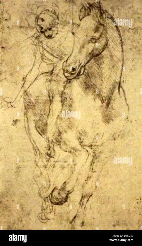 Leonardo Da Vinci Horse Stock Photos & Leonardo Da Vinci Horse Stock ...