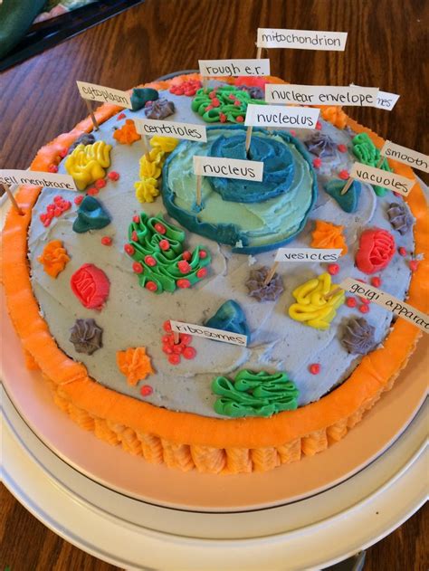 animal cell project made of cake … | Animal cell project, Animal cell, Edible cell project