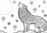 Un Bel Lupo Al Chiaro Di Luna  Lupi Disegni Da Colorare Per Adulti sketch template