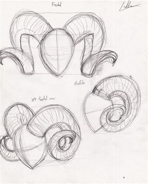 Demon horn reference - Ram horns | Sketches, Art reference, Sketch book