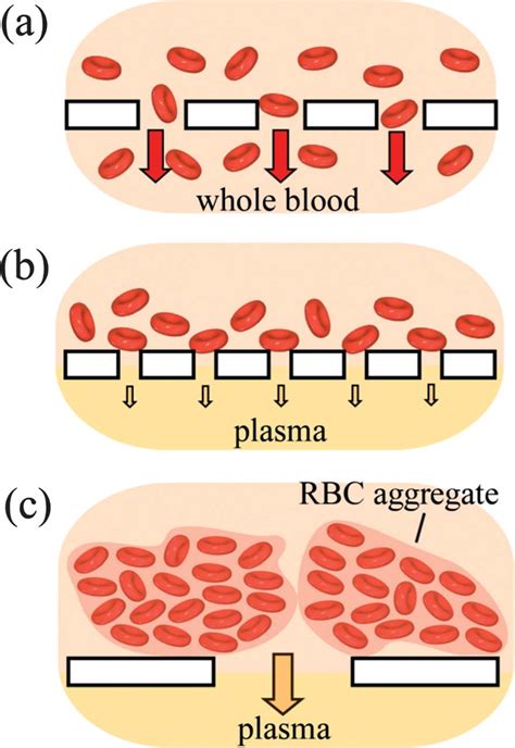 Schematic illustration of the use of red blood cell (RBC) agglutination ...