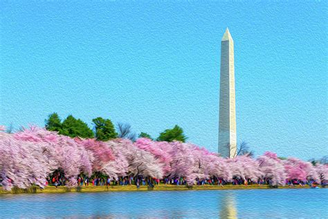 Washington Monument and Cherry Blossoms Oil Rendering Photograph by SR ...