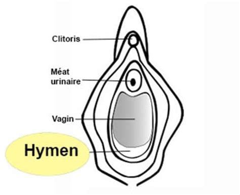 reconstruction de l'hymen sans chirurgie. refermer l'hymen naturellement