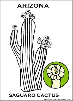 arizona state flower drawing - Heartening Webcast Fonction