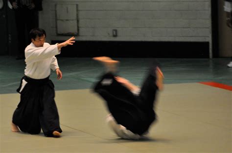 49th All Japan Aikido Demonstration - avparker.com