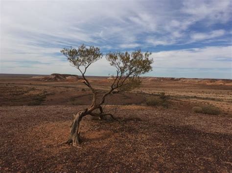 The Ghan Expedition: Your Most Important Questions Answered ...