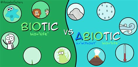 Biotic and Abiotic GIF by the Amoeba Sisters | Abiotic, Teaching ...