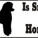 Poodle Smart Dog Bumper Sticker