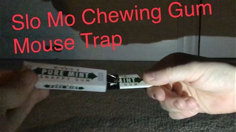 Slow Mo Chewing Gum Mouse Trap - YouTube