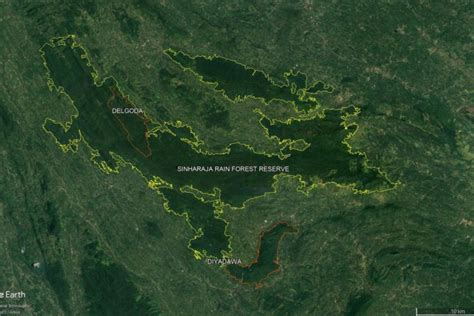 Sri Lanka’s Sinharaja rainforest reserve to be quadrupled in size