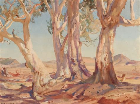 Ian Fraser, talking naturally: River Red Gums; Australia's tree?