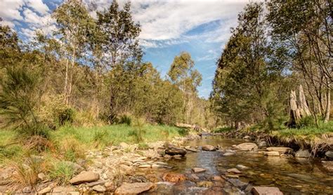 Brindabella National Park | NSW National Parks