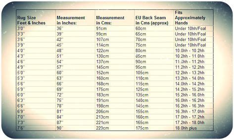 Horse Blanket Sizing Chart