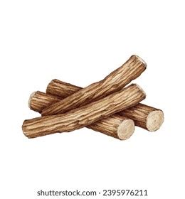 Licorice Plant Dry Root Pile Glycyrrhiza Stock Illustration 2395976211 ...