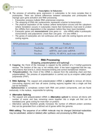 protein synthesis | PDF