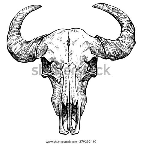 12,975 Buffalo Skull Royalty-Free Images, Stock Photos & Pictures | Shutterstock