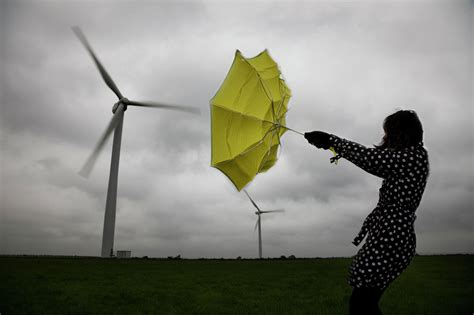 5 best umbrellas for gale-force winds